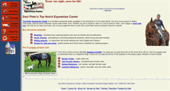 Desktop Screenshot of danipinto.com
